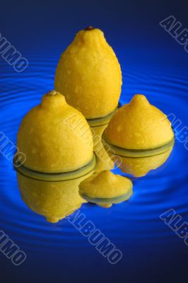 Lemon Lemon