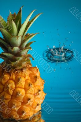 Pineapple 3