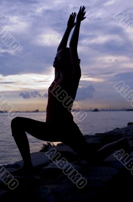 Warrior Pose Warrior Pose