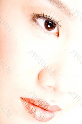 High Key Beauty High Key Beauty