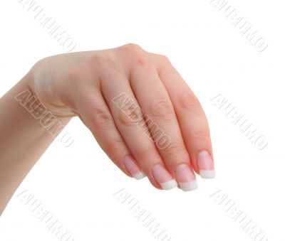 female manicured hand