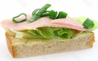 macro of tasty ham sandwich