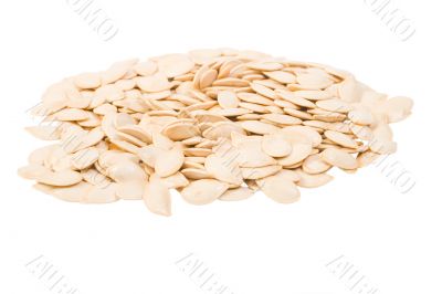 Pumpkin Seeds Pumpkin Seeds