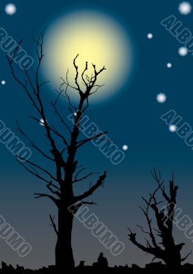 Dead trees on a background of the full moon.