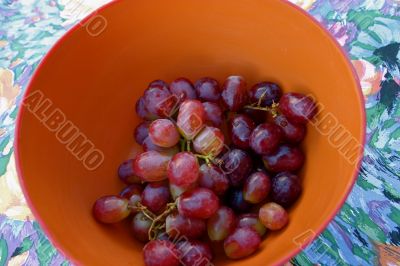 Organic Red Grapes in Serving Bowl