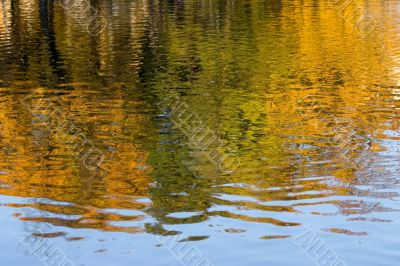 Autumn water