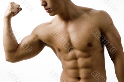 Bicep Curl Bicep Curl