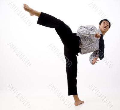 Roundhouse Kick Roundhouse Kick
