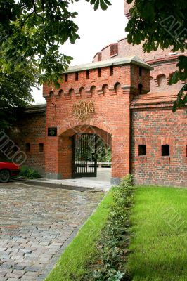 Museum of the amber 1