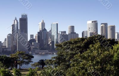 Sydney Urban Oasis