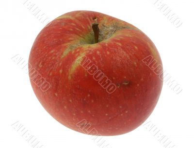 apple on white