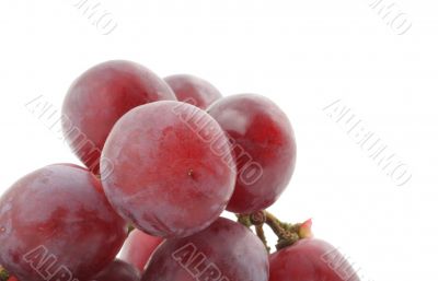 bunch of grapes real macro