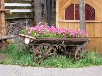 Old rural waggon