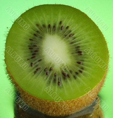 Wet Kiwi 4