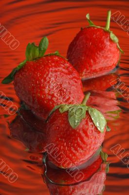 Strawberry 7 Strawberry 7