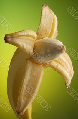 Wet Banana 5