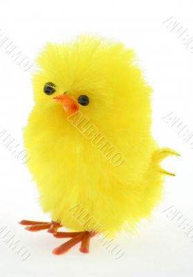 easter toy chicken - real macro