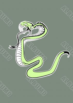 Green  Snake