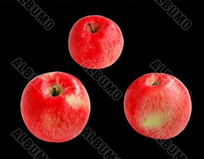 red apples