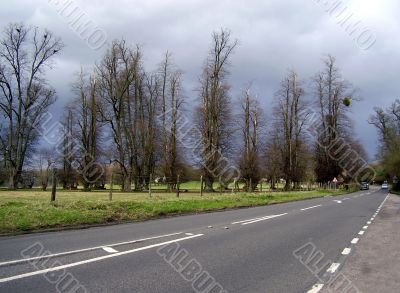 British country road in springtime