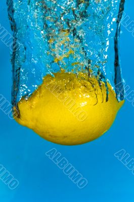 Lemon Fruit - Citrus Water Splash