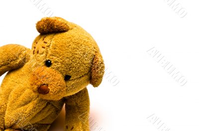Playful Toy Teddy Bear