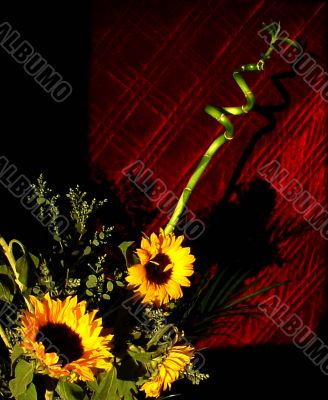 vivid sunflowers against maroon background