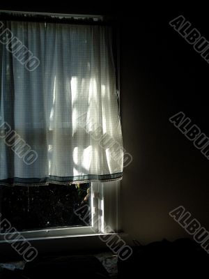 Sunlight Shining Through Curtain In Cozy Home