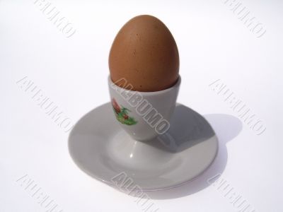 chicken egg