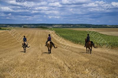 Three riders