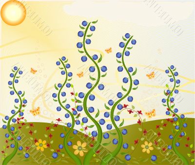 Floral background. Vector illustration