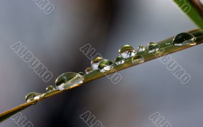 Drops