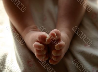 Baby`s legs Baby`s legs