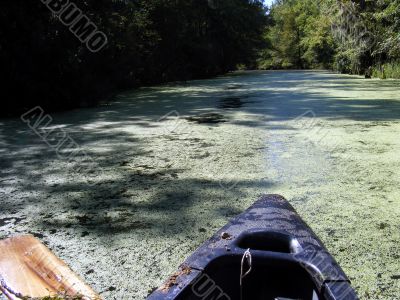 canoeing creek