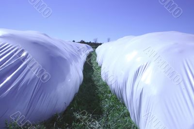 long round bale rows