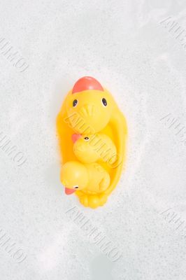 Three rubber ducks in foam water #2. Top view