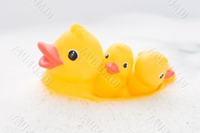 Three rubber ducks in foam water #3