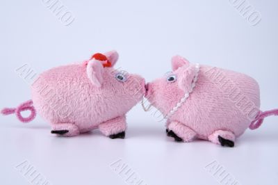 Though you and a pig, but I love you Though you and a pig, but I love you