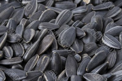 Large sunflower seeds Large sunflower seeds