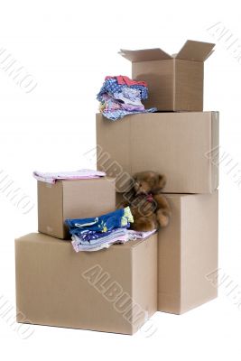 Moving Moving