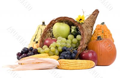 Cornucopia Cornucopia