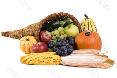 Cornucopia Cornucopia