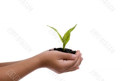 New Life