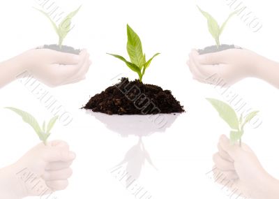 New Life New Life