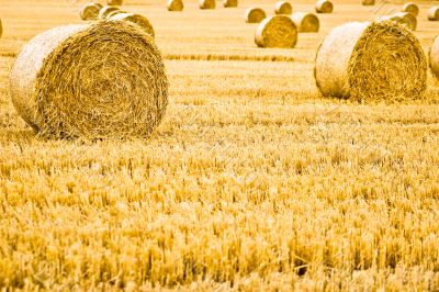 Straw Bale Rolls