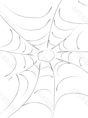 Cobweb