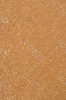 human skin pattern human skin pattern