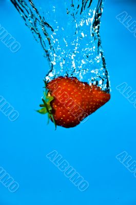 Strawberry Plunge