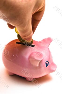 Hand, Cash, Piggy Bank