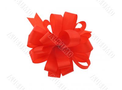 red bow on pure white background